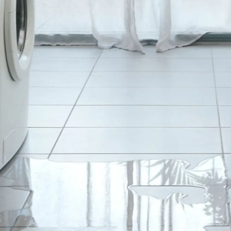Appliance Leak Cleanup in Williamsport, OH