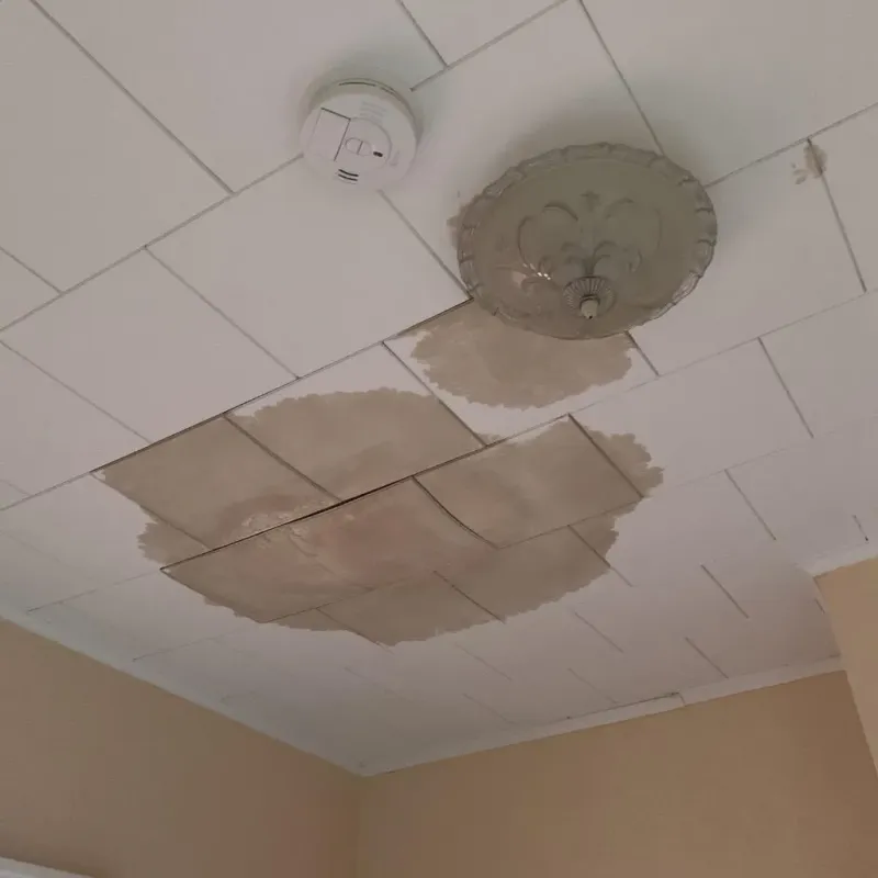 Ceiling Water Damage Repair in Williamsport, OH