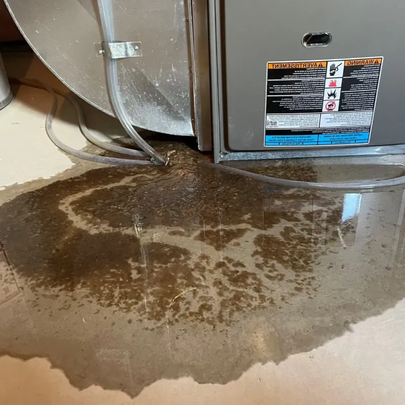 Pipe Burst and Leak Restoration in Williamsport, OH